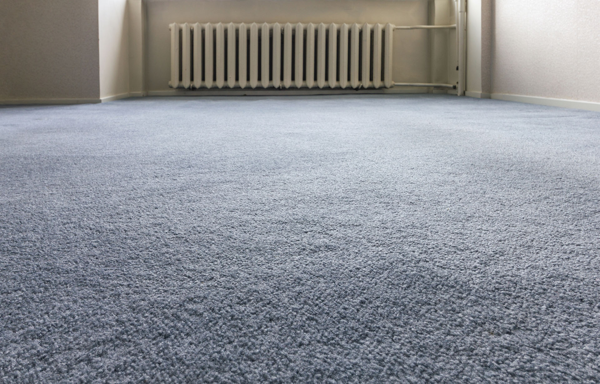 Sioux City blue Carpet cleaning