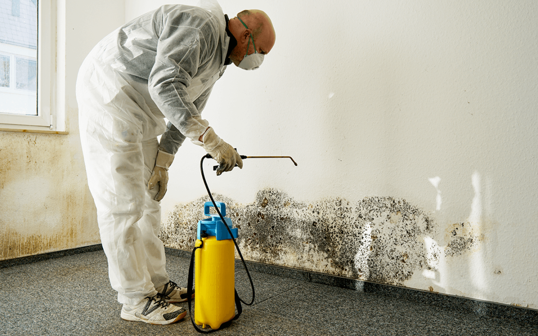 Water Damage Cleanup and Mold Treatment 24/7 - Spahn's Cleaning